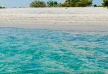 Mare Calabria, premio Bandiere blu a Sellia Marina e Tortora