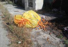 San Ferdinando, disimpegno Camassa e conseguente degrado