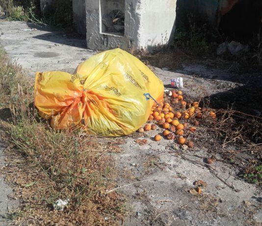 San Ferdinando, disimpegno Camassa e conseguente degrado