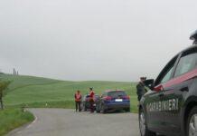 Lascia bovini liberi che causano incidente, denunciato 33enne