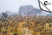 Taurianova, il 19 maggio presentazione del libro “Il primo caso dell’Ispettore Morandi”