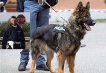 Rosarno, operazione interforze. Controlli e perquisizioni