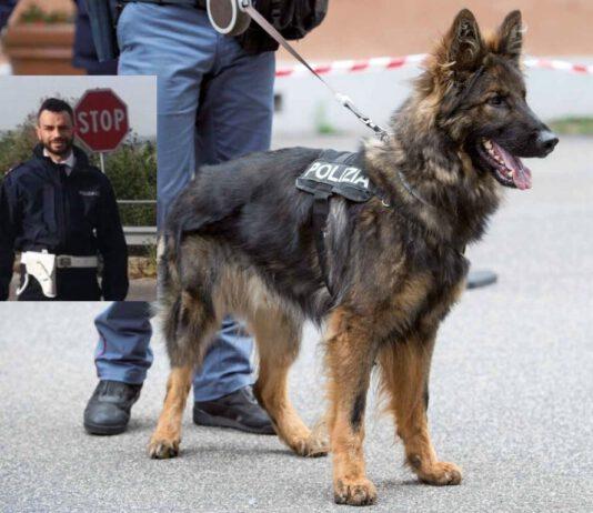 Rosarno, operazione interforze. Controlli e perquisizioni