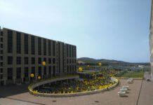 Coldiretti: per l’accreditamento di regione indenne dalla vescicolare suina manca l’ultimo passaggio