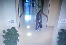 Caso Sissy Trovato, appello alla signora che ha dato allarme