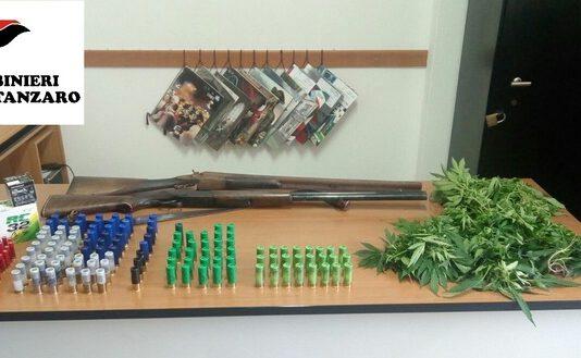 Anziana trovata con piccola piantagione di marijuana in giardino