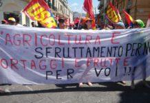 Usb immigrati: “Il lavoro agricolo è sfruttamento”