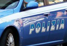 Taurianova, Operazione Happy Dog. Sette Arresti