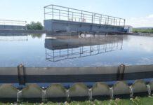 Feto di sei mesi trovato in depuratore