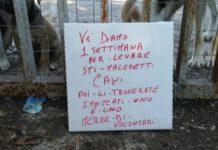 Minacce a volontari canile:”Levate sti maledetti cani, poi li troverete impiccati, merde”