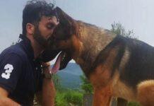 Avvelenato Kaos, cane eroe di Amatrice e Rigopiano
