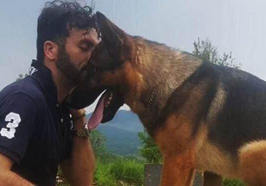 Avvelenato Kaos, cane eroe di Amatrice e Rigopiano