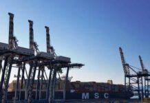 A Gioia Tauro la container ship Msc Maya, tra le più grandi navi che abbiano mai toccato l’Italia.