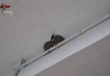 Gioia Tauro, Carabinieri Forestali deferiscono 3 persone