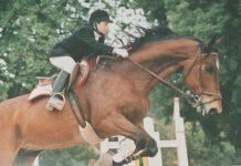 Sciolto nell’acido a 12anni, 2.2 milioni di risarcimento alla famiglia