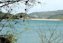 Cadavere di uomo trovato lago Angitola