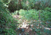 Operazione antidroga, arresti nel vibonese