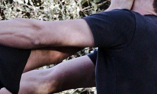 Tirano ciabatta contro cane perché abbaia troppo, rissa a Tropea