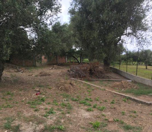 Parghelia, il consigliere Vasinton: “Cimitero di Fitili divenuto discarica”