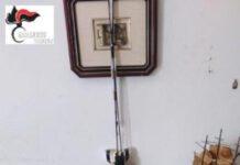 Pianta di marijuana come ornamento ed eroina dentro stampella ortopedica, arrestato