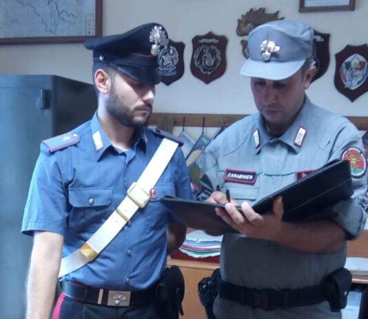 Nascondeva marijuana nel cassonetto della serranda della sala da pranzo, arrestato 26enne