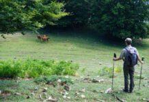 Polsi: il cammino ed il cambiamento