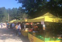 Coldiretti: sold out ma solo nella settimana di ferragosto…il turismo sorride