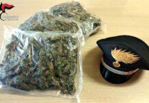 Un arresto per detenzione e produzione di stupefacenti