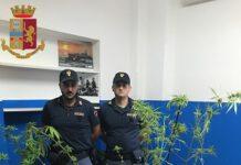 Palmi, 29enne arrestato furto aggravato e detenzione ai fini di spaccio di sostanze stupefacenti