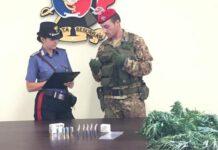 Controlli nella Piana- Arrestato 30enne per coltivazione di marijuana