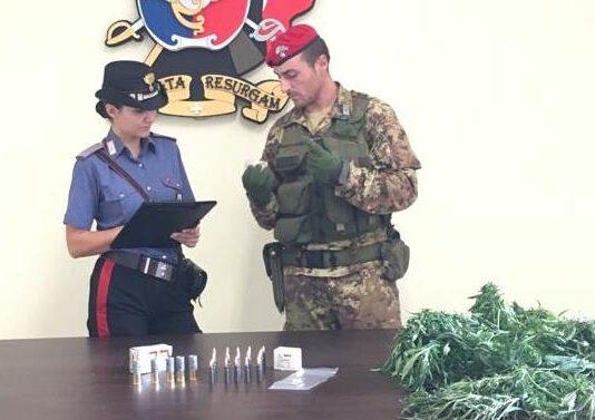 Controlli nella Piana- Arrestato 30enne per coltivazione di marijuana