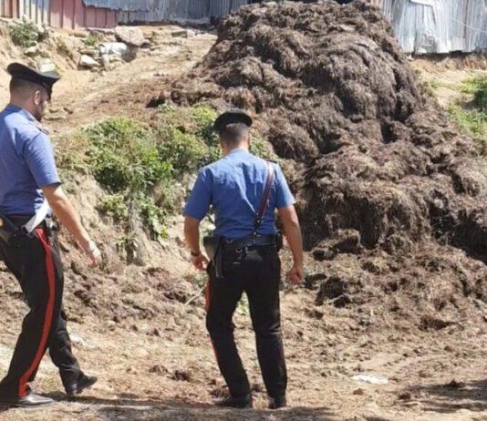 Aziende agricole e scarichi illegali, denunciati due fratelli