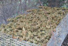 Controllo straordinario del territorio, 2 arresti 23 persone denunciate