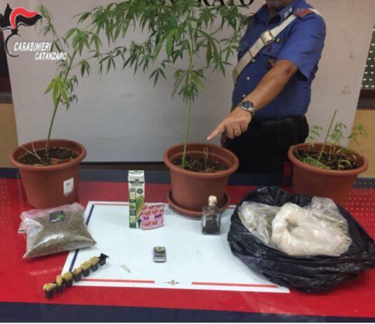 Acquista cannabis online dalla Spagna per avviare attività commerciale ma viene arrestato