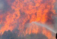 Appicca fuoco a sterpaglie, muore avvolto dalle fiamme