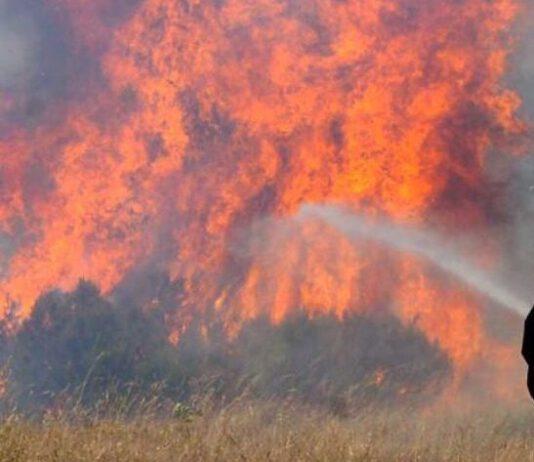 Appicca fuoco a sterpaglie, muore avvolto dalle fiamme