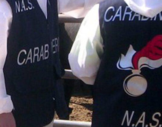 Cinque kg di pesce avariato sequestrato in pescheria