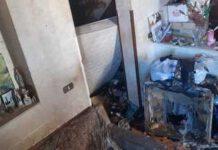 Cani denutriti, salvati da Polizia municipale e Asp