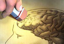 Giornata mondiale Alzheimer, Inaugurazione mostra Lamezia