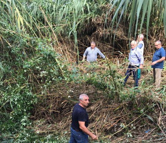Palmi, Bonifica messa in sicurezza idrica e valorizzazione ambientale del torrente San Miceli