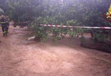 Donna e figlio morti a Lamezia, aperta indagine per omicidio colposo