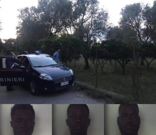 Tentano di rubare 40 kg di mandarini, arrestati tre extracomunitari domiciliati tendopoli