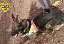 Dispersi in montagna, ritrovati da cane