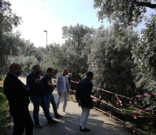 Sopralluoghi dopo l’alluvione