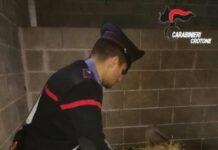 Arrestato 61enne per ricettazione e detenzione illegale di armi e munizioni