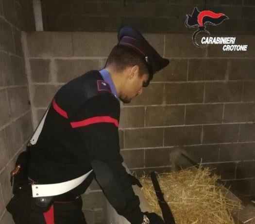 Arrestato 61enne per ricettazione e detenzione illegale di armi e munizioni