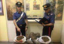 Fermate tre donne con 5 chili di marijuana fra la biancheria