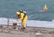 Fusto rinvenuto su spiaggia, esclusa presenza sostanze radioattive