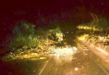 Automobilisti bloccati da frane e albero caduto, soccorsi