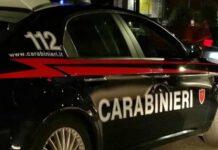 Colpisce la moglie con una zappa in testa dopo lite